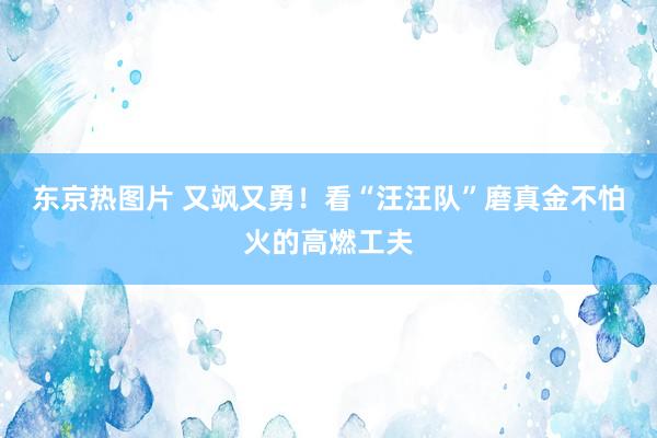 东京热图片 又飒又勇！看“汪汪队”磨真金不怕火的高燃工夫