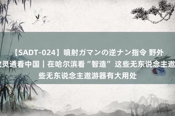 【SADT-024】噴射ガマンの逆ナン指令 野外浣腸悪戯 篡改灵通看中国｜在哈尔滨看“智造” 这些无东说念主遨游器有大用处