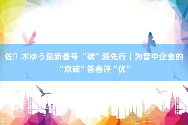 佐々木ゆう最新番号 “碳”路先行｜为晋中企业的“双碳”答卷评“优”