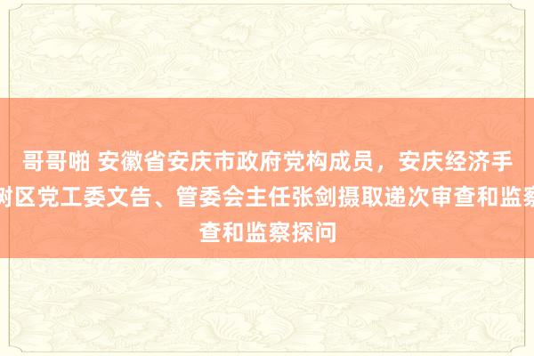 哥哥啪 安徽省安庆市政府党构成员，安庆经济手艺建树区党工委文告、管委会主任张剑摄取递次审查和监察探问