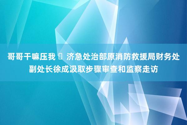 哥哥干嘛压我 ​济急处治部原消防救援局财务处副处长徐成汲取步骤审查和监察走访