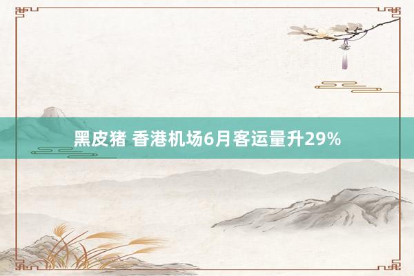 黑皮猪 香港机场6月客运量升29%