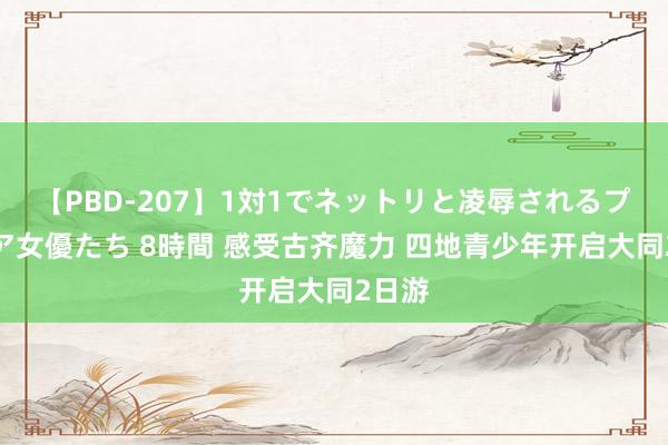 【PBD-207】1対1でネットリと凌辱されるプレミア女優たち 8時間 感受古齐魔力 四地青少年开启大同2日游