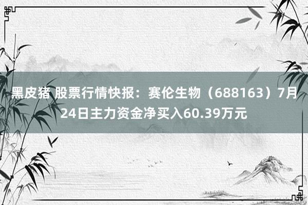 黑皮猪 股票行情快报：赛伦生物（688163）7月24日主力资金净买入60.39万元