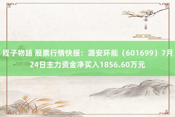 姪子物語 股票行情快报：潞安环能（601699）7月24日主力资金净买入1856.60万元