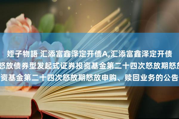 姪子物語 汇添富鑫泽定开债A，汇添富鑫泽定开债C: 对于汇添富鑫泽依期怒放债券型发起式证券投资基金第二十四次怒放期怒放申购、赎回业务的公告