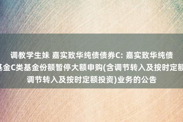 调教学生妹 嘉实致华纯债债券C: 嘉实致华纯债债券型证券投资基金C类基金份额暂停大额申购(含调节转入及按时定额投资)业务的公告