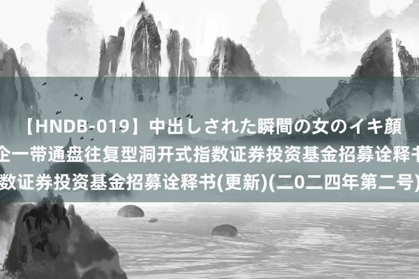 【HNDB-019】中出しされた瞬間の女のイキ顔 国企富国: 富国中证国企一带通盘往复型洞开式指数证券投资基金招募诠释书(更新)(二0二四年第二号)