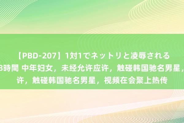 【PBD-207】1対1でネットリと凌辱されるプレミア女優たち 8時間 中年妇女，未经允许应许，触碰韩国驰名男星，视频在会聚上热传