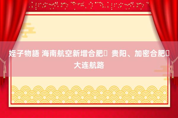 姪子物語 海南航空新增合肥⇌贵阳、加密合肥⇌大连航路