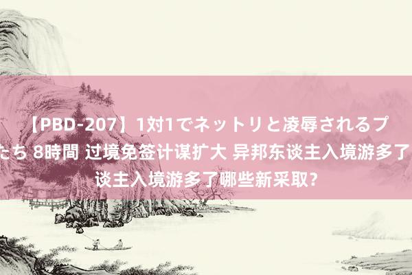 【PBD-207】1対1でネットリと凌辱されるプレミア女優たち 8時間 过境免签计谋扩大 异邦东谈主入境游多了哪些新采取？