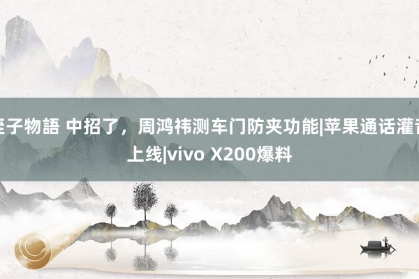 姪子物語 中招了，周鸿祎测车门防夹功能|苹果通话灌音上线|vivo X200爆料