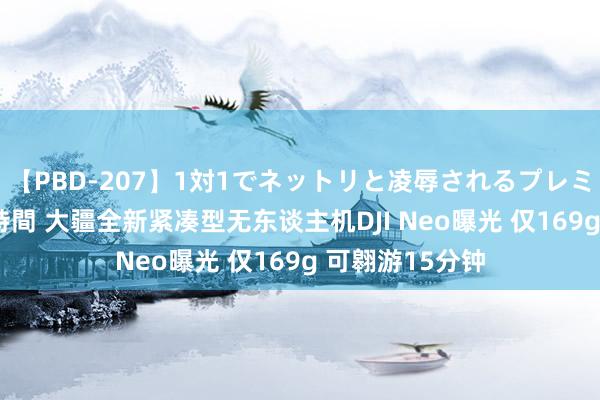 【PBD-207】1対1でネットリと凌辱されるプレミア女優たち 8時間 大疆全新紧凑型无东谈主机DJI Neo曝光 仅169g 可翱游15分钟