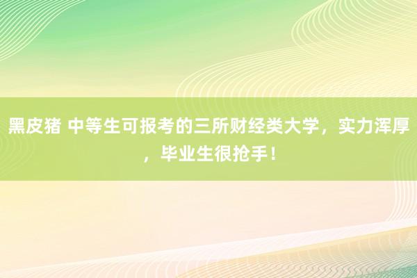 黑皮猪 中等生可报考的三所财经类大学，实力浑厚，毕业生很抢手！