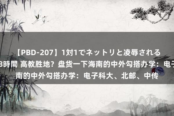 【PBD-207】1対1でネットリと凌辱されるプレミア女優たち 8時間 高教胜地？盘货一下海南的中外勾搭办学：电子科大、北邮、中传