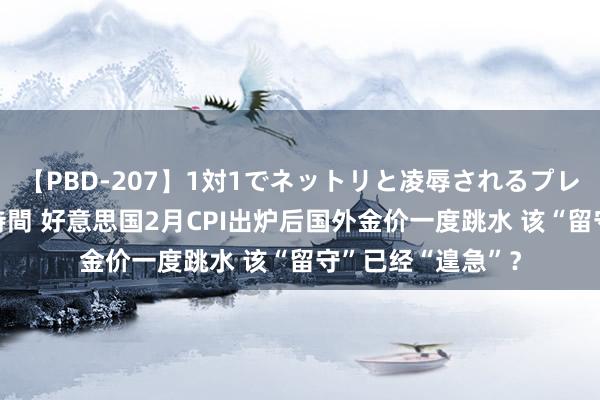 【PBD-207】1対1でネットリと凌辱されるプレミア女優たち 8時間 好意思国2月CPI出炉后国外金价一度跳水 该“留守”已经“遑急”？