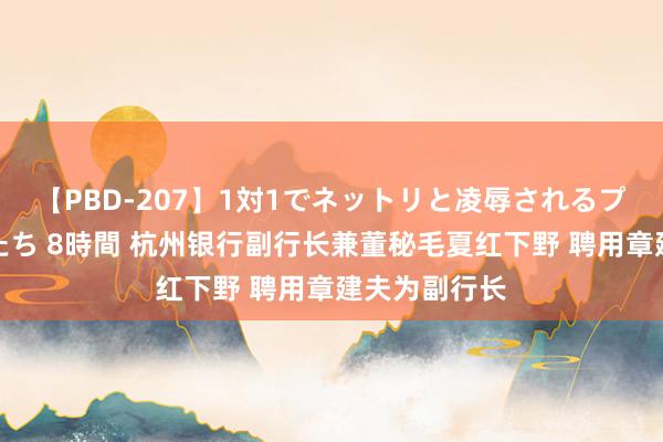 【PBD-207】1対1でネットリと凌辱されるプレミア女優たち 8時間 杭州银行副行长兼董秘毛夏红下野 聘用章建夫为副行长