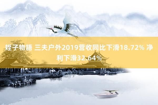 姪子物語 三夫户外2019营收同比下滑18.72% 净利下滑32.64%