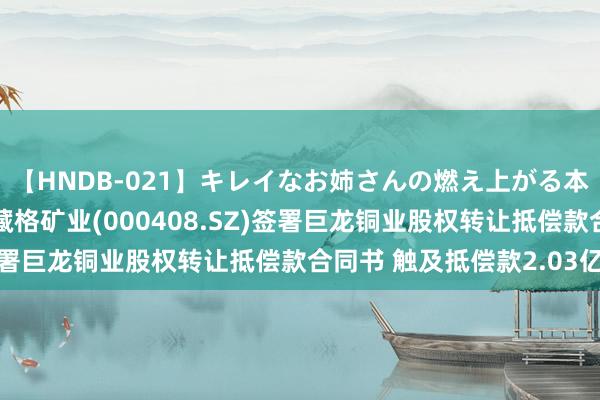 【HNDB-021】キレイなお姉さんの燃え上がる本物中出し交尾4時間 藏格矿业(000408.SZ)签署巨龙铜业股权转让抵偿款合同书 触及抵偿款2.03亿元