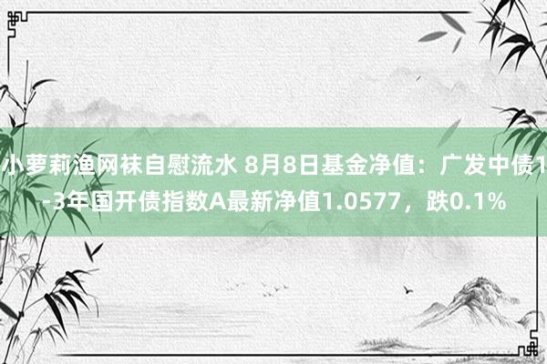 小萝莉渔网袜自慰流水 8月8日基金净值：广发中债1-3年国开债指数A最新净值1.0577，跌0.1%