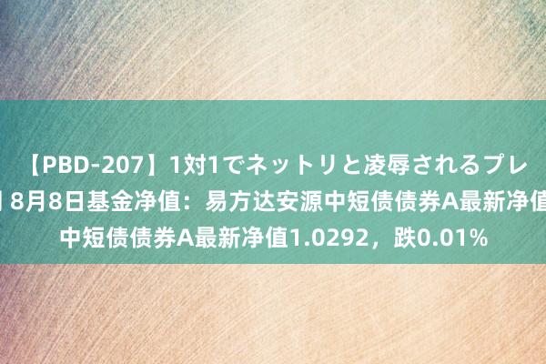 【PBD-207】1対1でネットリと凌辱されるプレミア女優たち 8時間 8月8日基金净值：易方达安源中短债债券A最新净值1.0292，跌0.01%