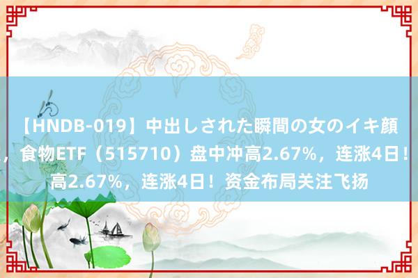 【HNDB-019】中出しされた瞬間の女のイキ顔 白酒龙头集体上攻，食物ETF（515710）盘中冲高2.67%，连涨4日！资金布局关注飞扬