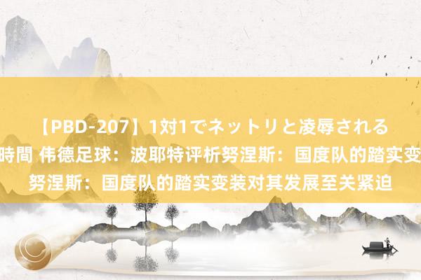 【PBD-207】1対1でネットリと凌辱されるプレミア女優たち 8時間 伟德足球：波耶特评析努涅斯：国度队的踏实变装对其发展至关紧迫