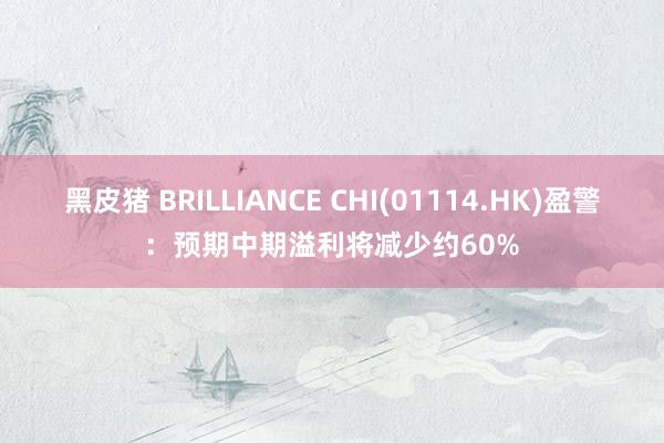 黑皮猪 BRILLIANCE CHI(01114.HK)盈警：预期中期溢利将减少约60%