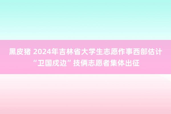 黑皮猪 2024年吉林省大学生志愿作事西部估计“卫国戍边”技俩志愿者集体出征