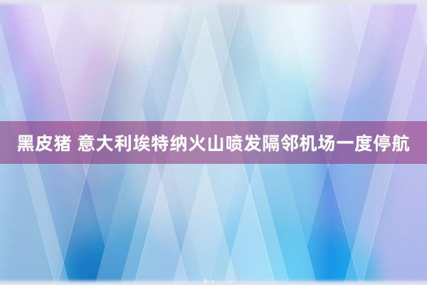 黑皮猪 意大利埃特纳火山喷发　隔邻机场一度停航