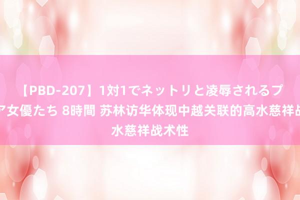 【PBD-207】1対1でネットリと凌辱されるプレミア女優たち 8時間 苏林访华体现中越关联的高水慈祥战术性