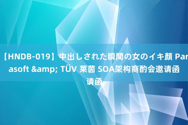 【HNDB-019】中出しされた瞬間の女のイキ顔 Parasoft & TÜV 莱茵 SOA架构商酌会邀请函