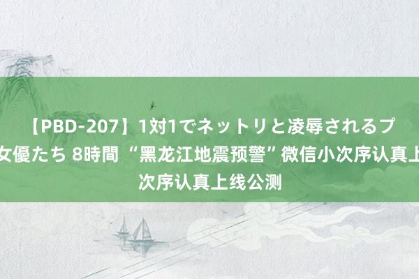 【PBD-207】1対1でネットリと凌辱されるプレミア女優たち 8時間 “黑龙江地震预警”微信小次序认真上线公测