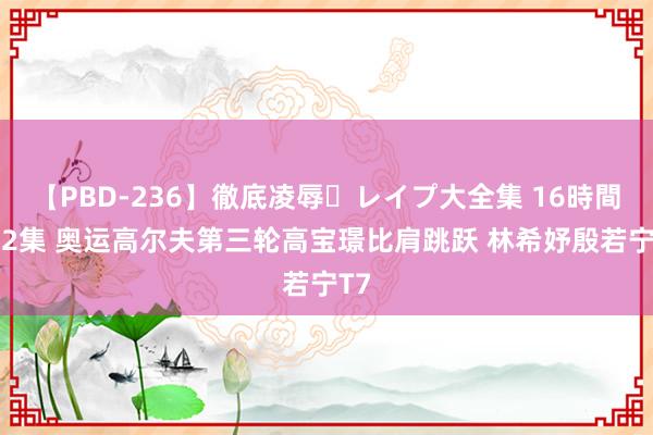 【PBD-236】徹底凌辱・レイプ大全集 16時間 第2集 奥运高尔夫第三轮高宝璟比肩跳跃 林希妤殷若宁T7