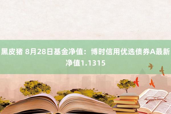 黑皮猪 8月28日基金净值：博时信用优选债券A最新净值1.1315