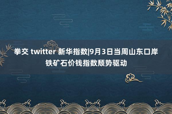 拳交 twitter 新华指数|9月3日当周山东口岸铁矿石价钱指数颓势驱动