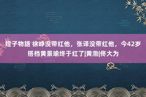 姪子物語 徐峥没带红他，张译没带红他，今42岁搭档黄景瑜终于红了|黄渤|佟大为