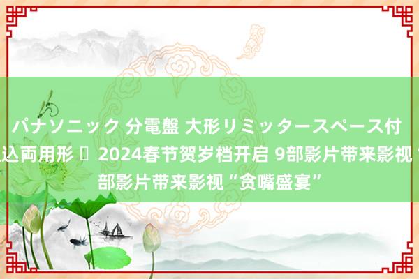 パナソニック 分電盤 大形リミッタースペース付 露出・半埋込両用形 ​2024春节贺岁档开启 9部影片带来影视“贪嘴盛宴”