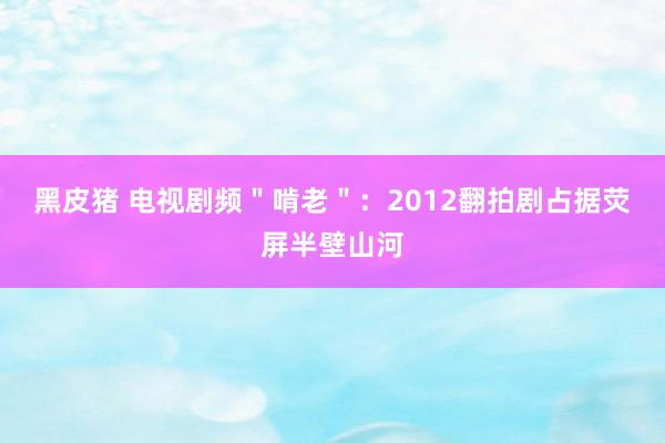 黑皮猪 电视剧频＂啃老＂：2012翻拍剧占据荧屏半壁山河