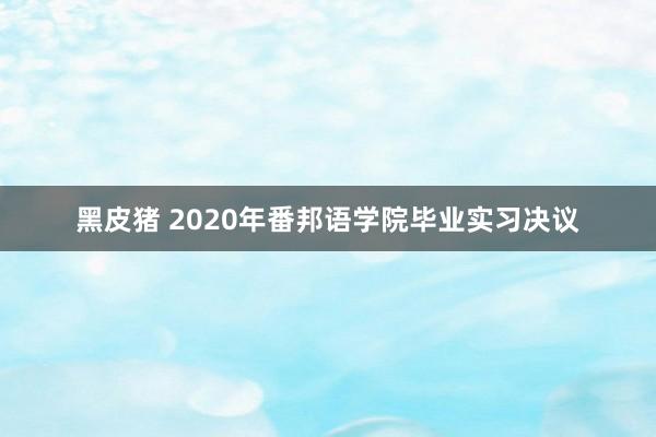 黑皮猪 2020年番邦语学院毕业实习决议