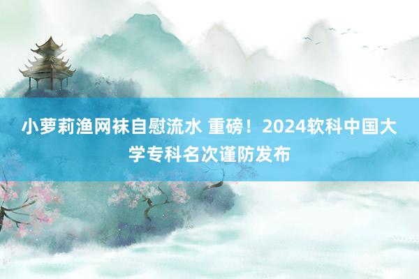 小萝莉渔网袜自慰流水 重磅！2024软科中国大学专科名次谨防发布