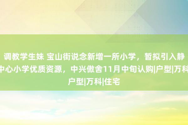 调教学生妹 宝山街说念新增一所小学，暂拟引入静安一中心小学优质资源，中兴傲舍11月中旬认购|户型|万科|住宅