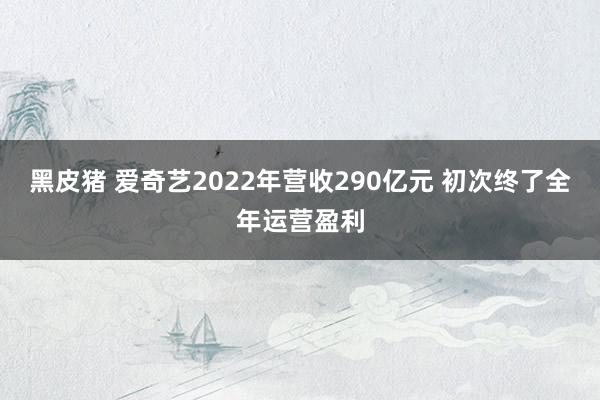 黑皮猪 爱奇艺2022年营收290亿元 初次终了全年运营盈利